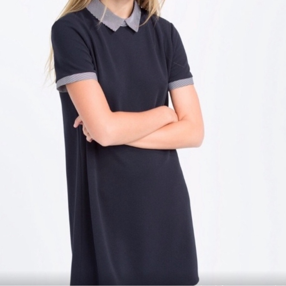 Navy blue striped collar dress
